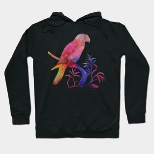 Parrot Hoodie